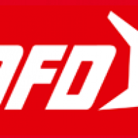 Ostfriesischer-Flug-Dienst GmbH